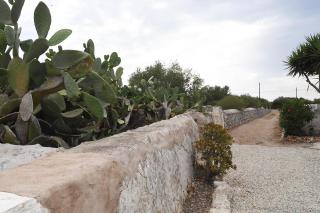 SON MARTORELL by BookMenorcaVillas Unique country house - 5