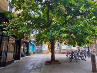 1-Bed flat near West Norwood station - 1