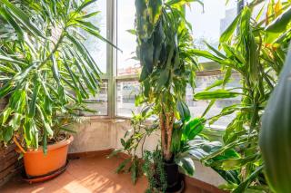 Apartamento con dos dormitorios - 5