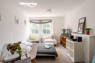 Spacious & Bright Flat in Notting Hill - 5