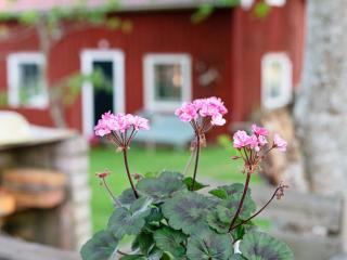4 star holiday home in Nässjö - 1