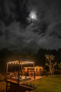 Monteverde - 4