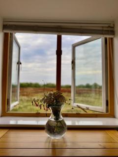 2Bed Cottage Near Odiham Castle Scenic Field Views - Greywell - 5