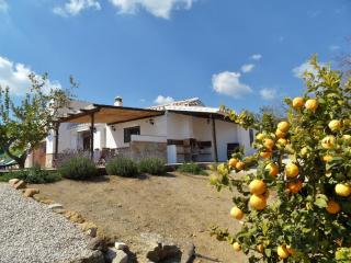 Cottage in Andalusia near El Torcal - 5