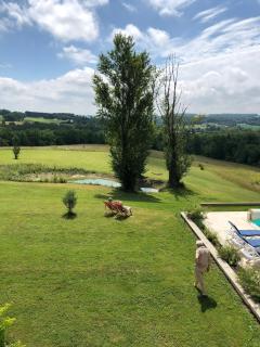 Maison Grossoleil, Fonroque - 3