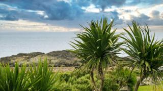 Traeth Atsain - 7