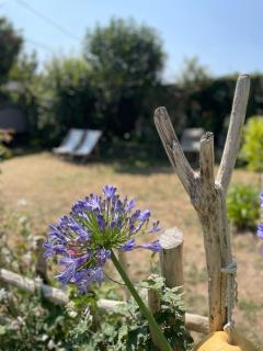 Les volets bleus - Brie-sous-Mortagne - 2