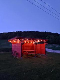 Idzikowianka - 9
