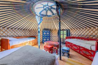 Yourte mongole insolite en pleine nature - 6