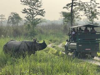 Chitwan Park Village -At Chitwan National Park - 1