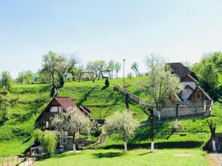 Pensiunea La Domnița - Poienile Izei - 0