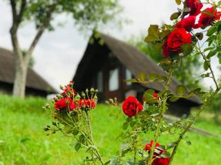 Pensiunea La Domnița - 1