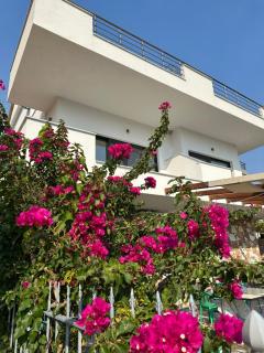 Vana's Apartments - Saranda - 0