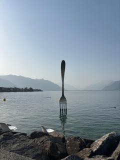 A room in the heart of Vevey's old town - Vevey - 9