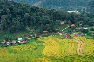 Lochi Chiangmai โลชิ เชียงใหม่ - - 8