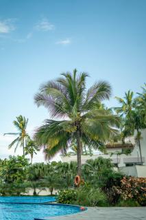 Kilua Residences by CityBlue - 4
