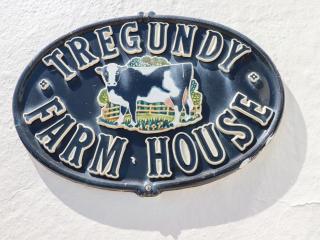 Tregundy Farmhouse - Perranporth - 8