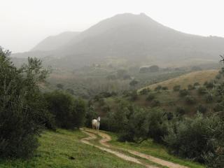 Holiday Home in Villanueva near El Terril Peak - Villanueva de San Juan - 0