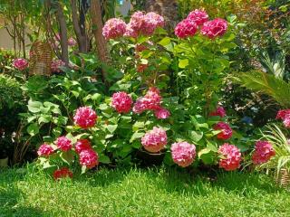 Maisonette on the beach with small garden - Agiokampos - 1