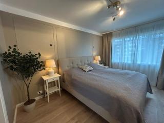 Stylish 3BR Apt Near Downtown - 0