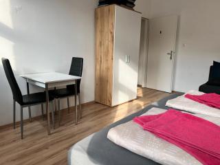 Spacious Vienna 4BR shared Stay for Friends & Families - Vienne - 7
