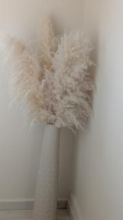 Ein Stückchen Himmel In Hattersheim ! - 8