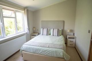 Welhams Meadow Holiday Lodges - Ringshall - 2
