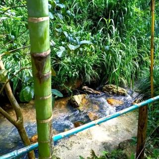 Stream Holiday Home Haputale - Haputale - 2