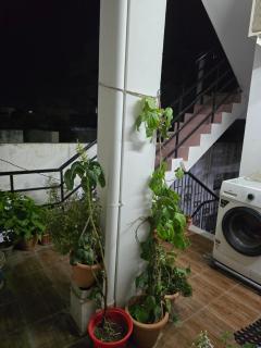 Venku Homestay Private room with attached washroom - 1