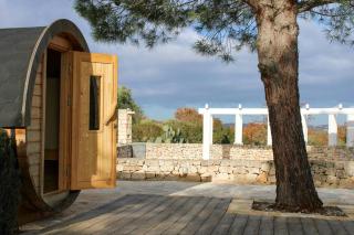 Villa Among Olive Groves With Sauna And Pool - 8