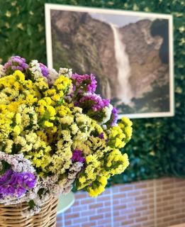 Pousada Violeiro - 6