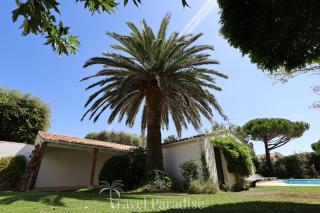 Villa Phoenix - 3