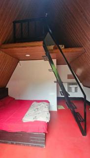 Vattavada Jungle Resort - Munnar - 6