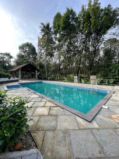 Blue Jay Pool Heritage Kerala Resort, Thattekkad - Kotamangalam - 0
