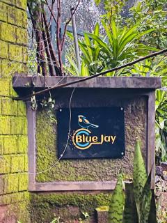 Blue Jay Pool Heritage Kerala Resort, Thattekkad - Kotamangalam - 4