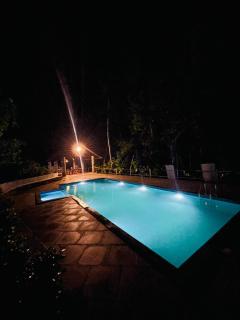 Blue Jay Pool Heritage Kerala Resort, Thattekkad - Kotamangalam - 3