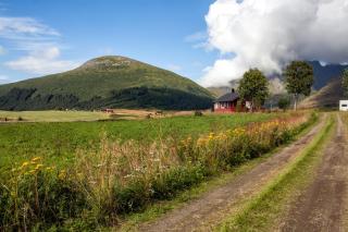 Private cabin by the sea, Lofoten - Leknes - 9