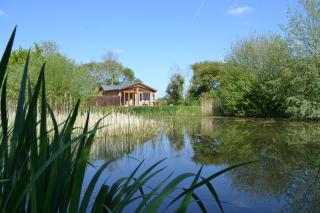 Welhams Meadow Holiday Lodges - Ringshall - 9