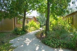 Welhams Meadow Holiday Lodges - Ringshall - 5