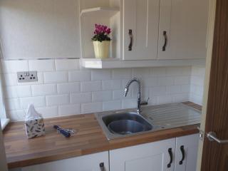 Welhams Meadow Holiday Lodges - Ringshall - 6