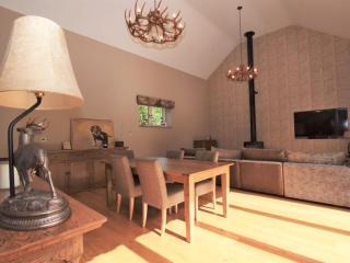 Rustic Barn Retreat Hereford-Pet friendly-Hot tub - Hereford - 3