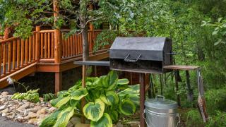 Bearfoot Paradise by American Patriot Getaways - 3