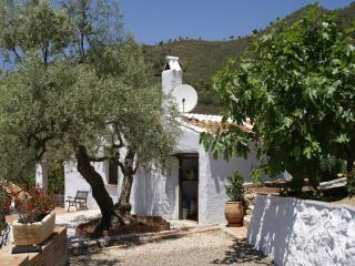 Farmhouse in Acebuchal with Private Pool - Acebuchal - 8