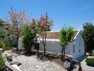 Farmhouse in Acebuchal with Private Pool - Acebuchal - 7
