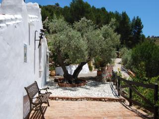 Farmhouse in Acebuchal with Private Pool - Acebuchal - 6