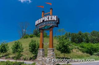 Bears Do Not Bluff by American Patriot Getaways - 4