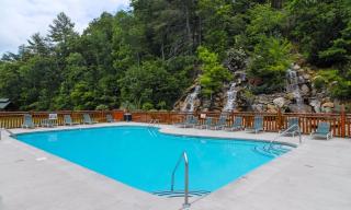 Bears Eye View by American Patriot Getaways - 4