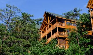 Bearway To Heaven by American Patriot Getaways - 6