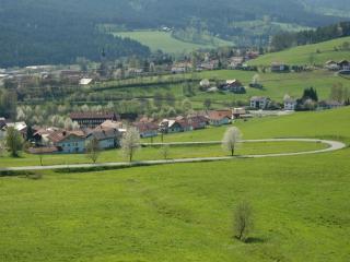 Ferienwohnung im Bayerischen Wald mit Balkon - Drachselsried - 2