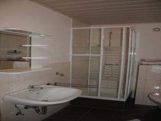 Ferienwohnung im Bayerischen Wald mit Balkon - Drachselsried - 1